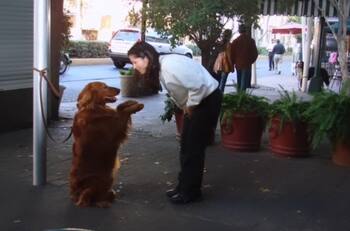 Alessandra Rosaldo recuerda a ser querido con tierno video