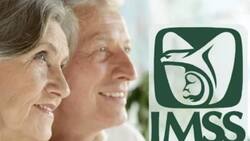 Pensión IMSS 2023: Los requisitos para que pensionados cobren pago doble