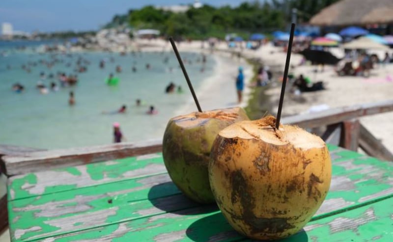 Foto de una bebida de coco con una playa de fondo.