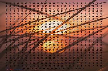 Acertijo visual: Ubica a la letra "I" tienes 15 segundos