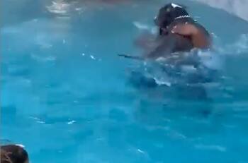 Video: Adorable perrito se avienta a la alberca para salvar a su dueño