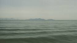 ¿Vida extraterrestre?: Destacan misterioso objeto hallado en el fondo del Océano Pacífico