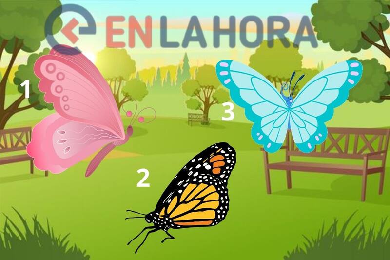 ¿Eres una persona libre o dependiente? Descúbrelo en este test visual.