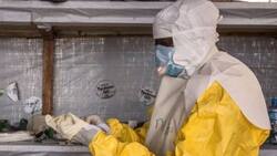 Virus de Marburgo, similar al ébola, la nueva alerta sanitaria para el mundo