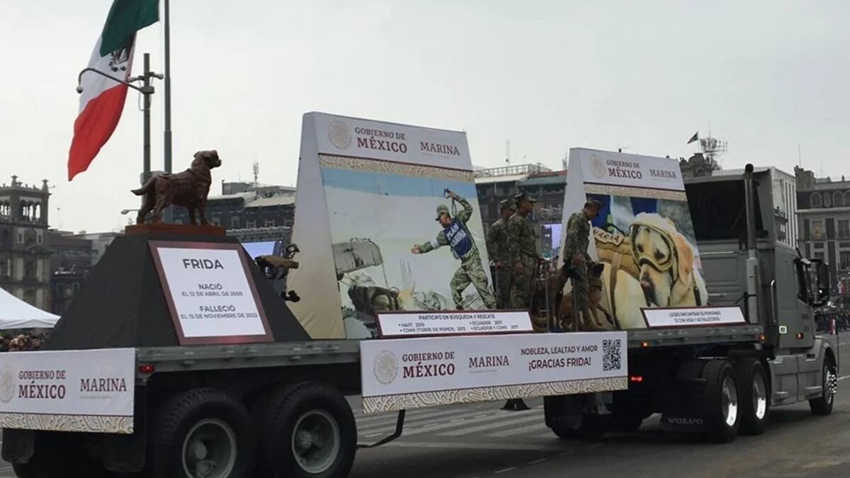 VIDEO| Rinden homenaje a perrita Frida en desfile del 20 de noviembre