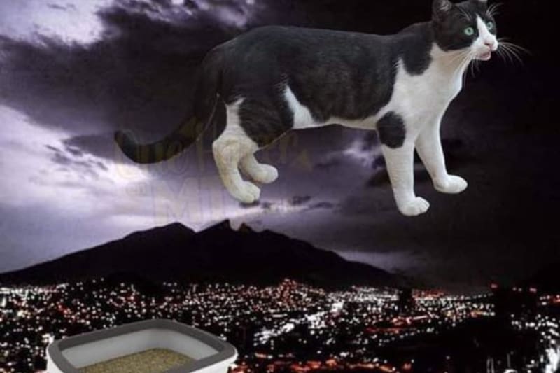 Usuarios reaccionaron con memes al olor en Monterrey.