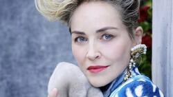 A sus 63 años, Sharon Stone da la bienvenida al verano luciendo su figura en bikini