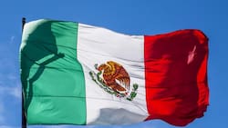 24 de febrero: ¿Qué significan los 3 colores de la Bandera de México?
