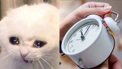 ¡Diversión pura! Estos son los mejores memes sobre la eliminación del horario de verano