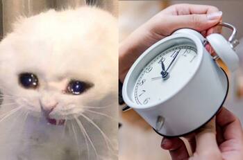 ¡Diversión pura! Estos son los mejores memes sobre la eliminación del horario de verano