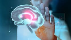 MIT y Harvard: Científicos crean nuevo método para poder recordar cosas importantes