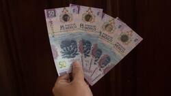 Numismática: El billete de ajolote que vale hasta 2 millones de pesos por esta rara característica