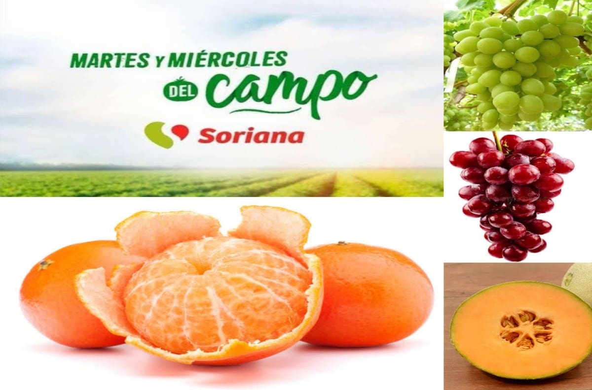 Martes y miércoles del campo en Soriana: Frutas y verduras en oferta este 20 y 21 de diciembre