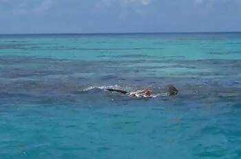 Video: Tiburón impide rescate de cadáver y lo devora