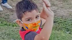 VIDEO: Abuelito canta "Las mañanitas" a su nieto en la frontera que los separa entre México y EE.UU