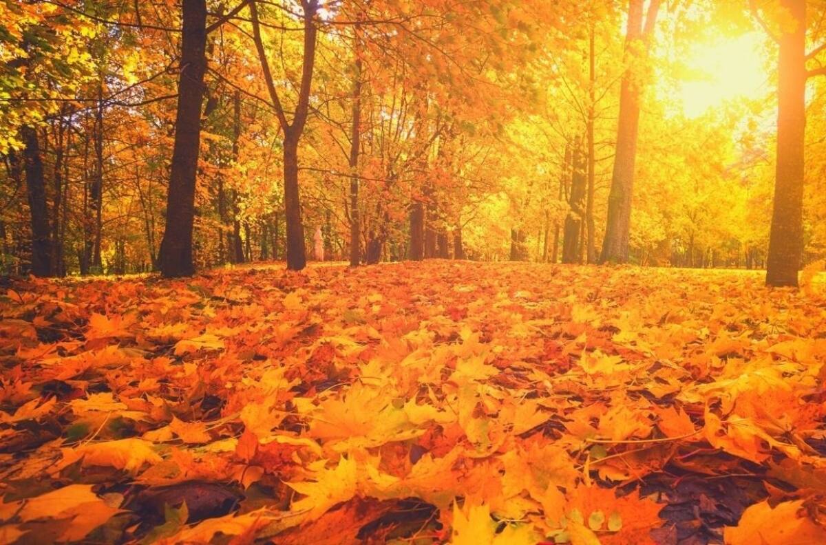 ¿Cuándo inicia el equinoccio de otoño en México?
