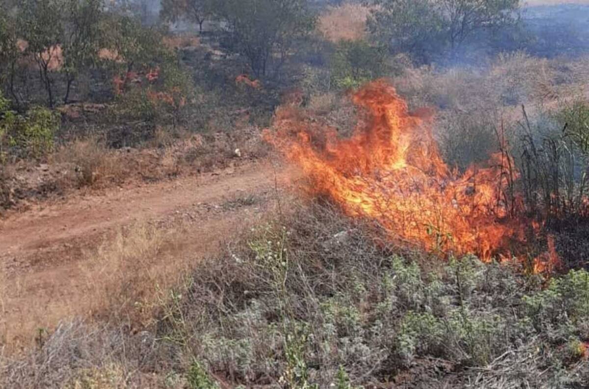 En llamas: hay en México 21 incendios forestales activos, según reportó la Conafor