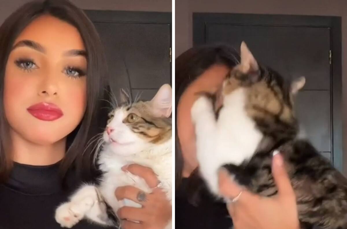 VIDEO| Gatito ataca a su dueña y se vuelven virales