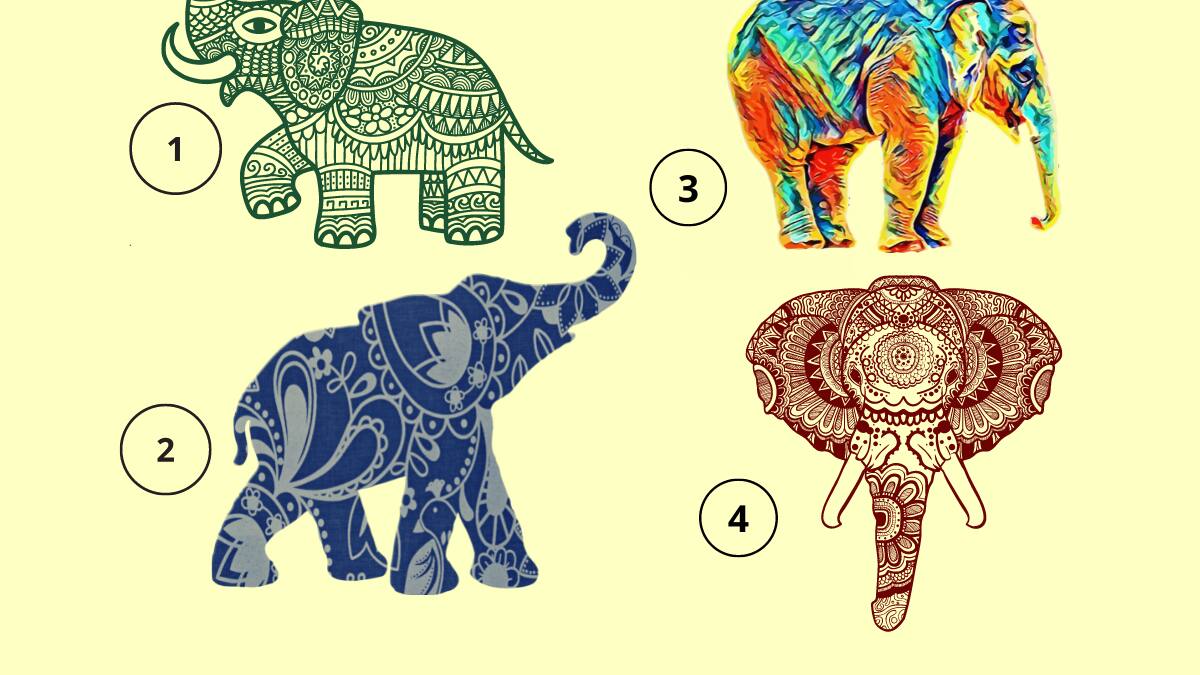 Test de personalidad: Escoge un elefante y descubre tu futuro