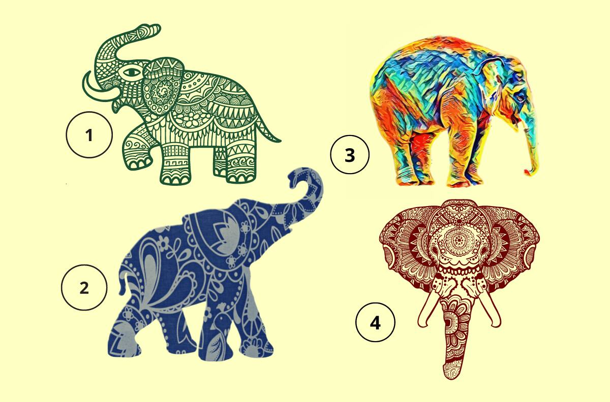 Test de personalidad: Escoge un elefante y descubre tu futuro