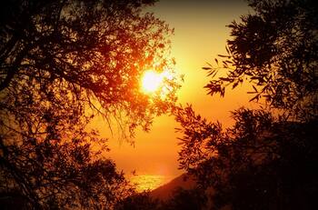 Ola de calor: Sigue estas recomendaciones para evitar problemas de salud ante altísimas temperaturas