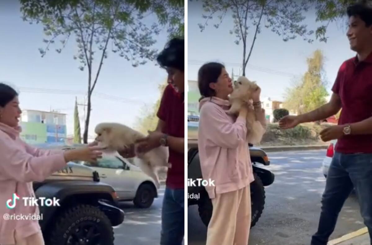 Perrito perdido es regresado a sus dueños y su reacción se hace viral| VIDEO