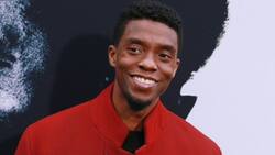 Más allá de Pantera Negra: otros papeles de Chadwick Boseman para ver en streaming