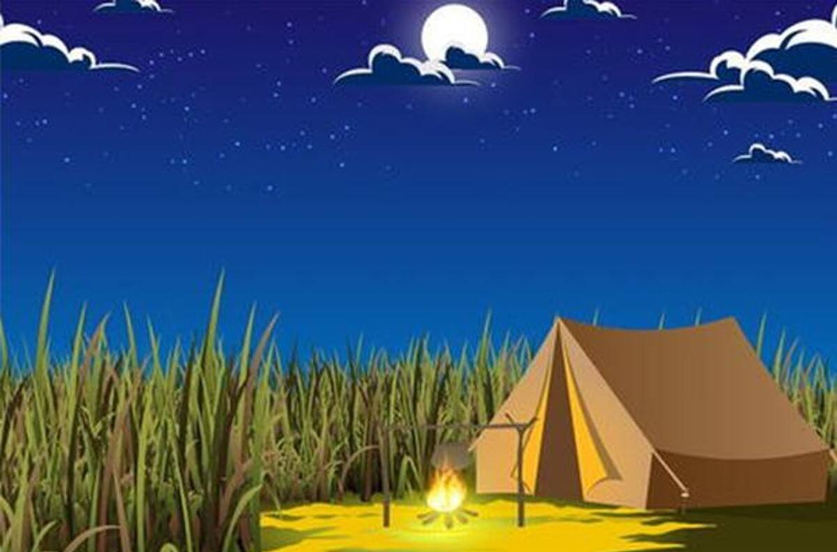 Acertijo visual: Encuentra al sombrero en el campamento en menos de 5 segundos