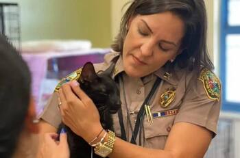 Gato sobrevive 16 días de entre los escombros del edificio en Miami