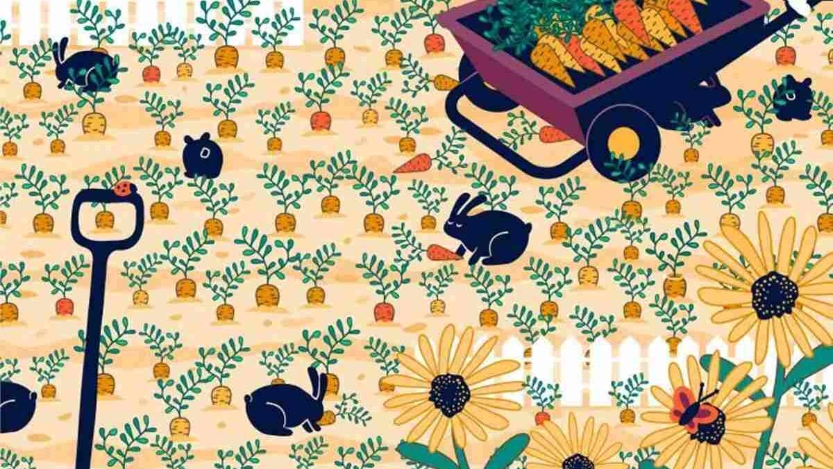Acertijo visual: Encuentra el anillo perdido, tienes 10 segundos