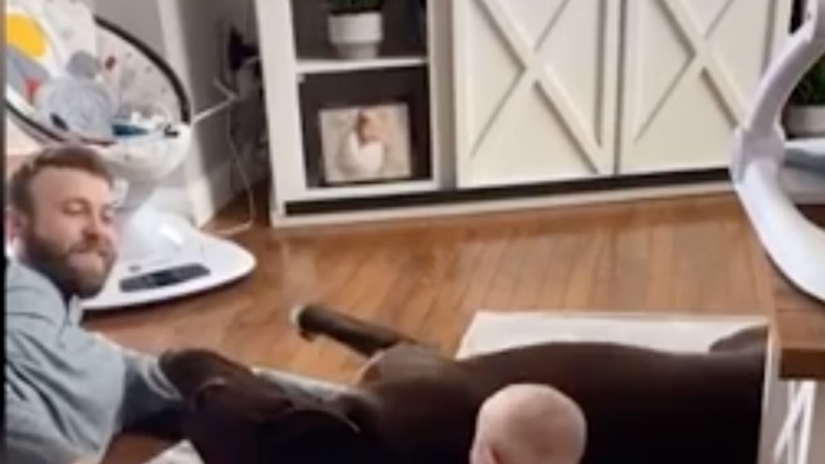 Video:¡Enternecedor! Perro se puso celoso de la pequeña bebé de sus dueños