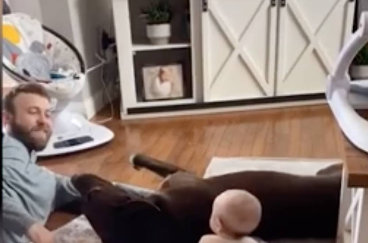Video:¡Enternecedor! Perro se puso celoso de la pequeña bebé de sus dueños