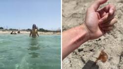 VIDEO| Mujer es picada por una medusa y se vuelve viral