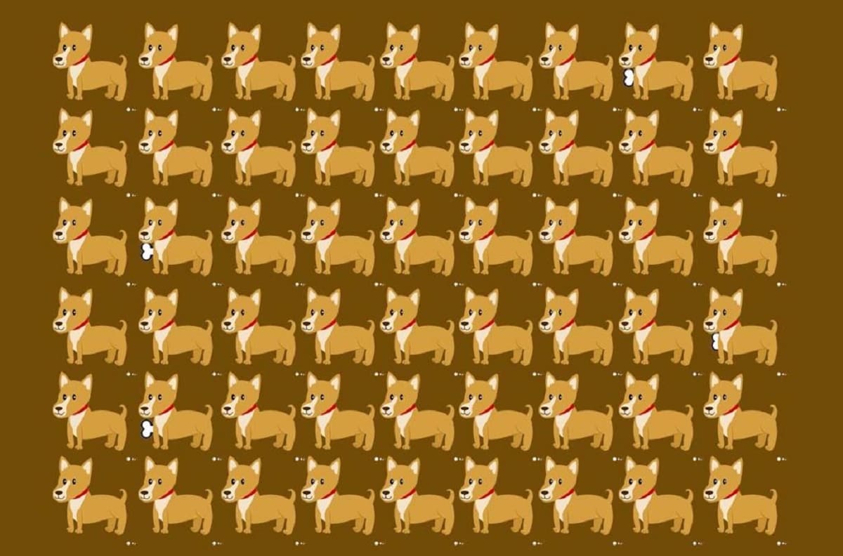 Acertijo visual: Encuentra los huesos de los perros en 15 segundos