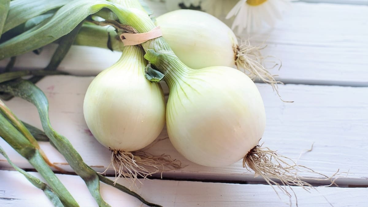 Salud: Conoce los beneficios de la cebolla ¡Contiene increíbles nutrientes!