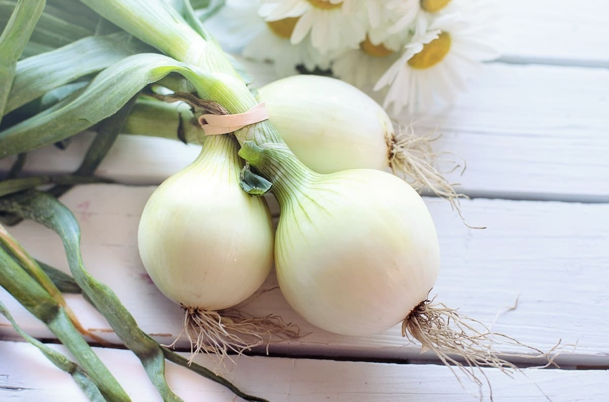 Salud: Conoce los beneficios de la cebolla ¡Contiene increíbles nutrientes!