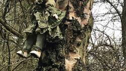 ¡Qué miedo! En el bosque de Inglaterra encuentran a muñecas clavadas en los arboles