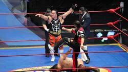 Felino: Campeón Nacional Semicompleto