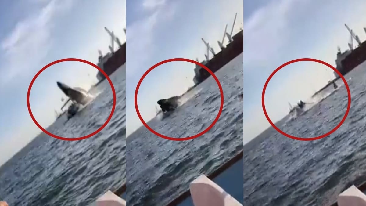 VIDEO | Ballena impactó una lancha en una bahía de Sinaloa y dejó dos personas lesionadas