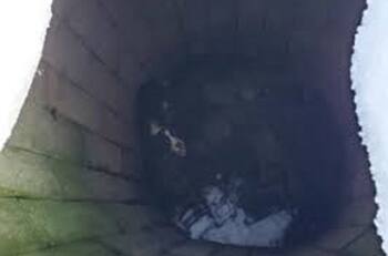 Perrito fue rescatado de un pozo, que duró 43 días en bajas temperaturas