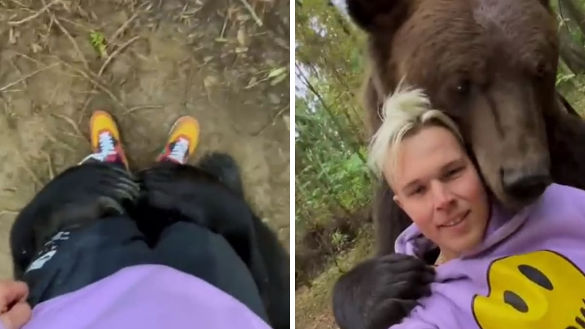 VIDEO| Hombre es abrazado por oso y se hacen virales ¡Ternuritas!