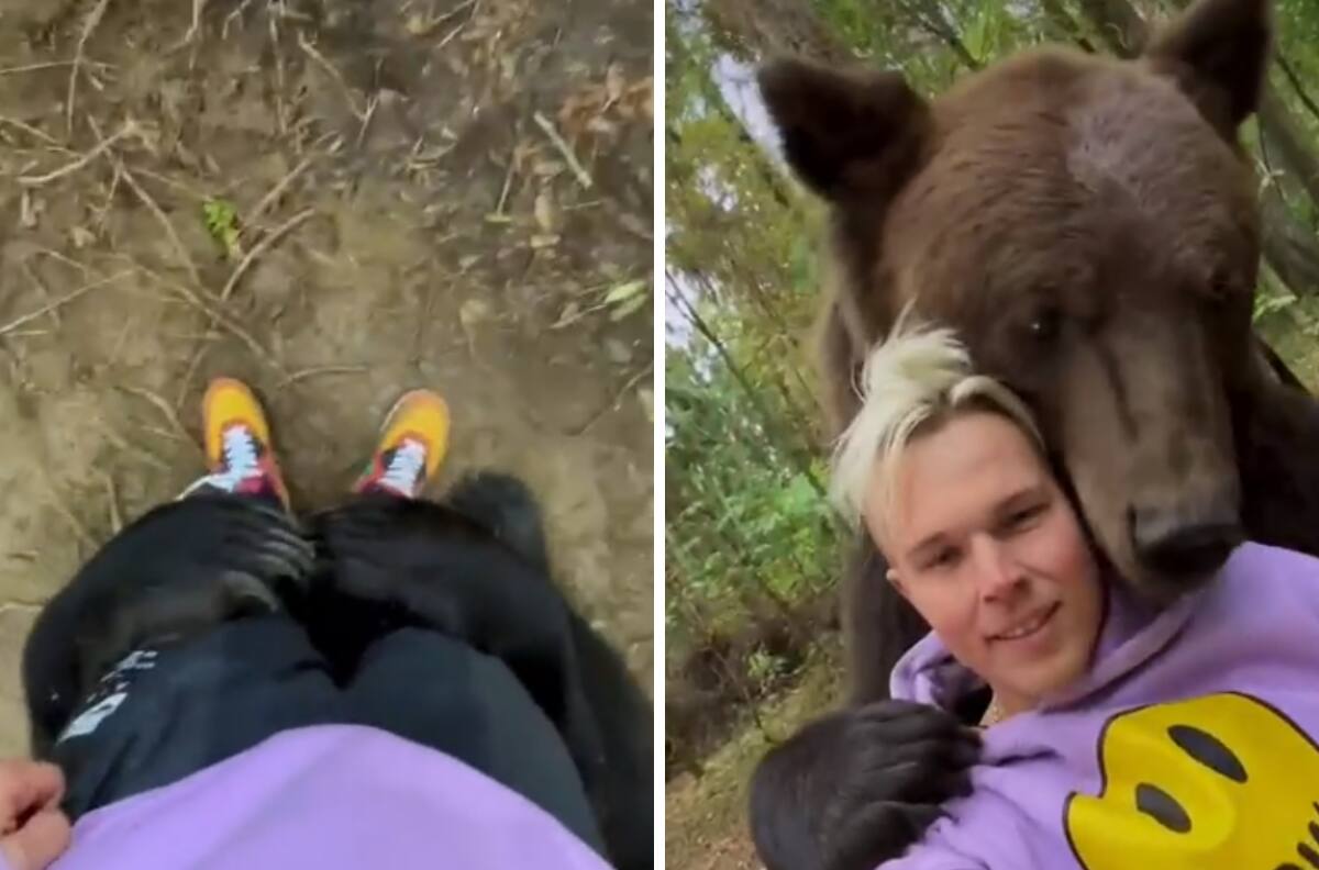 VIDEO| Hombre es abrazado por oso y se hacen virales ¡Ternuritas!