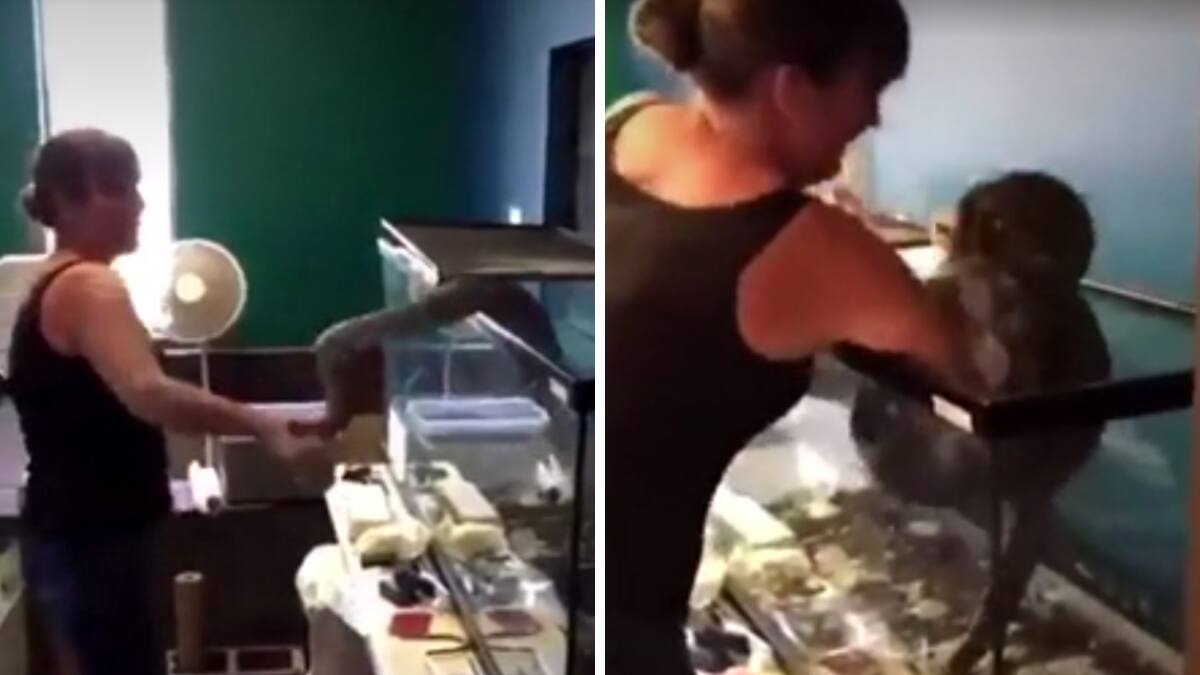 VIDEO| Mujer es atacada por una serpiente y se viraliza ¡Era su mascota!