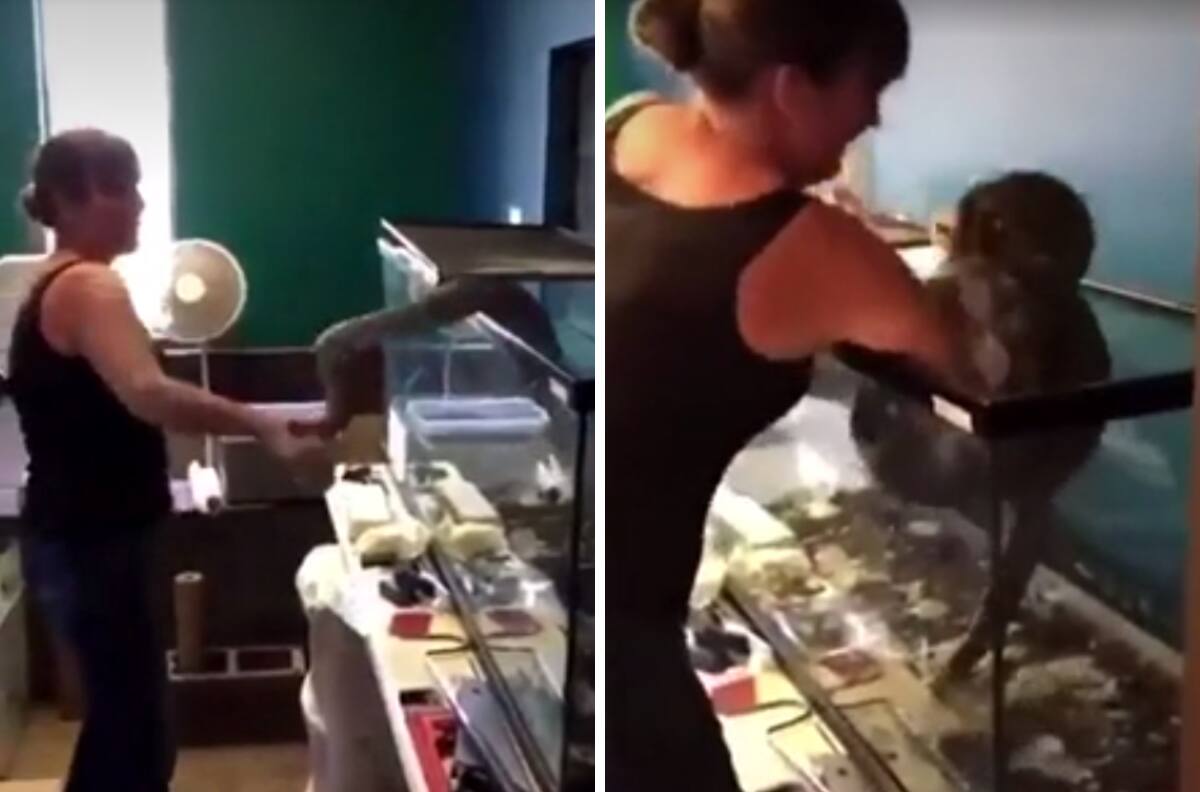 VIDEO| Mujer es atacada por una serpiente y se viraliza ¡Era su mascota!