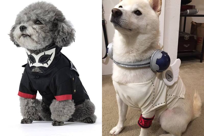 Ya sea Koromaru o Joker, estos disfraces serán lo más llamativo de Halloween.