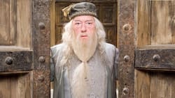 Murió Michael Gambon, actor que dio vida a Albus Dumbledore en las películas de “Harry Potter”