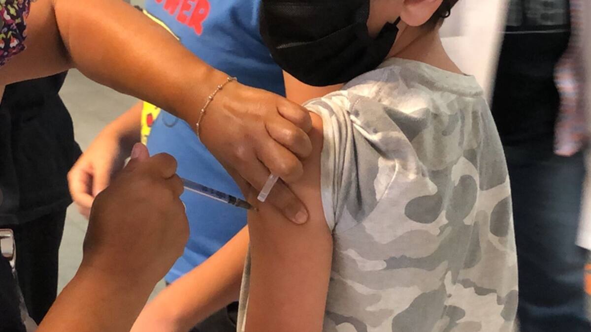 Estas son las fechas y sedes de vacunación contra Covid-19 para niños de 7 años en la CDMX