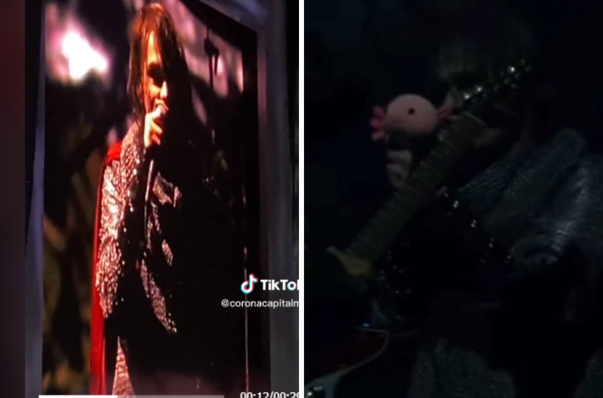VIDEO| My Chemical Romance recibe Dr. Simi y ajolote en Corona Capital y se viralizan