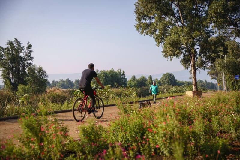 En el canal se encuentran plantas acuáticas y varias áreas recreativas.