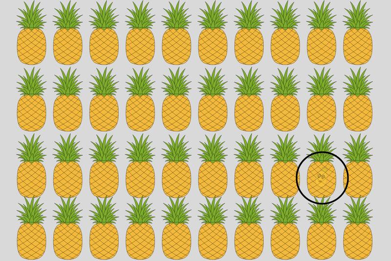 ¡Aquí estaba la piña escondida!